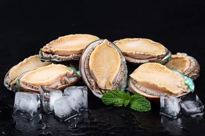 和治友德世界海洋日特輯 共同守衛蔚藍，探索海洋生物活性物質的綠色未來