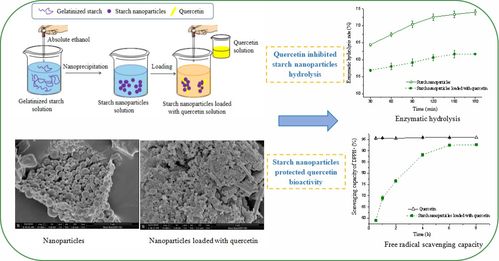 合成技術(shù)研發(fā) 西北農(nóng)林科技大學(xué)食品科學(xué)與工程學(xué)院的創(chuàng)新引擎