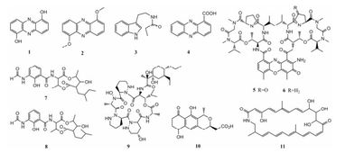 動物來源放線菌的次級代謝產(chǎn)物及其生物活性研究進展 純化策略與挑戰(zhàn)