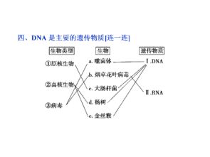 DNA 從遺傳物質到合成技術研發的探索